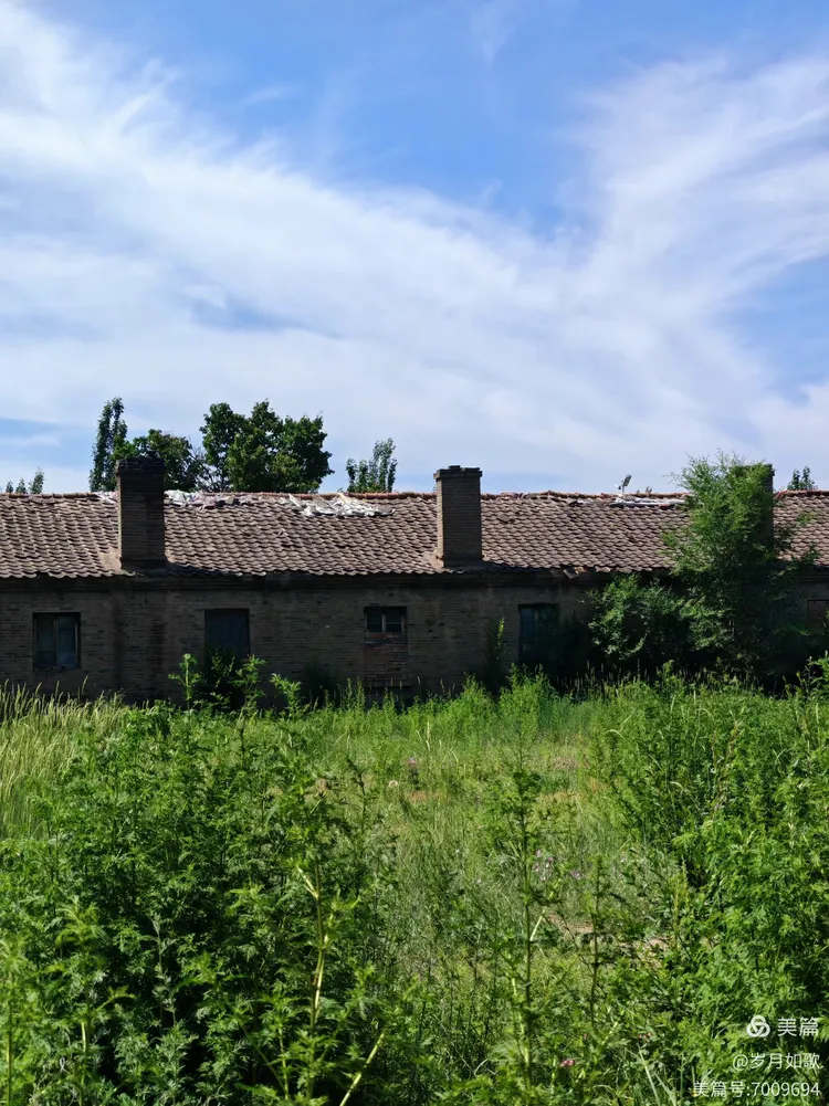 怀仁下寨农场:镌刻在岁月里的青春诗章